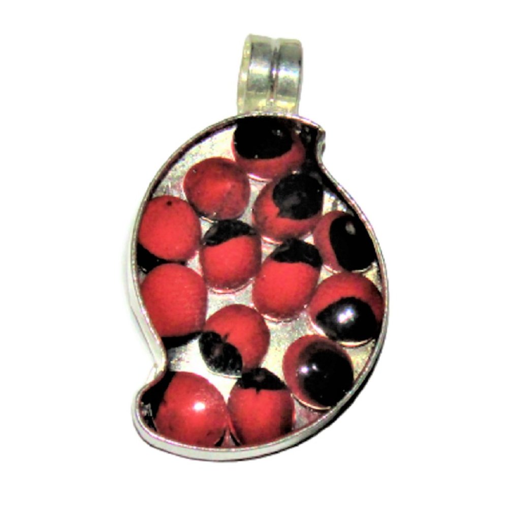 NWOT Beautiful Peruvian Huayruro Seeds Pendant DZ-I4GH-TV19